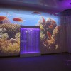 Проекционный дизайн "Виртуальная реальность" базовый комплект 500 анимаций - «globural.ru» - Александров