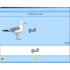 Английский язык. Освоение клавиатуры - «globural.ru» - Александров