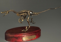 Модель скелета динозавра Velociraptor - «globural.ru» - Александров