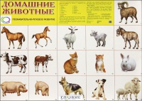 Демонстрационные карточки "Домашние животные" - «globural.ru» - Александров