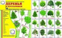 Демонстрационные карточки "Деревья и кустарники" - «globural.ru» - Александров