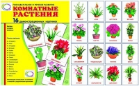 Демонстрационные карточки "Комнатные растения" - «globural.ru» - Александров
