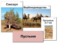 Модель-аппликация "Природные зоны России" - «globural.ru» - Александров