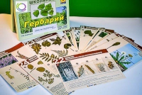 Гербарий к курсу основ общей биологии - «globural.ru» - Александров