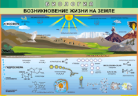Таблица Возникновение жизни на Земле 1000*1400 винил - «globural.ru» - Александров