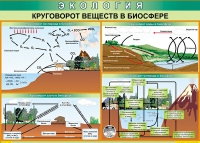 Таблица Круговорот веществ в биосфере 1000*700 винил - «globural.ru» - Александров
