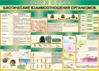 Таблица Биотические взаимоотношения организмов 1000*700 (винил) - «globural.ru» - Александров