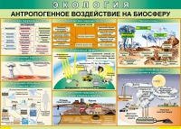Таблица Антропогенное воздействие на биосферу 1000*700 винил - «globural.ru» - Александров