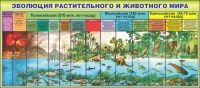 Стенд "Эволюция растительного и животного мира" - «globural.ru» - Александров