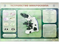 Электрифицированный стенд "Устройство микроскопа и правила работы c ним" - «globural.ru» - Александров