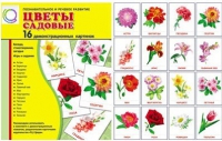 Демонстрационные карточки "Цветы садовые" - «globural.ru» - Александров