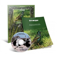 Электронное наглядное пособие «Птицы» - «globural.ru» - Александров