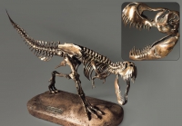 Модель скелета динозавра Tyrannosaurus - «globural.ru» - Александров
