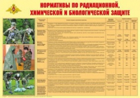 Плакат "Нормативы по радиационной, химической и биологической защите" - «globural.ru» - Александров
