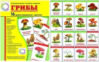 Демонстрационные карточки  "Грибы съедобные и не съедобные" - «globural.ru» - Александров