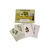 Гербарий "Деревья и кустарники" (22 вида, с иллюстрациями) - «globural.ru» - Александров