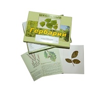 Гербарий "Дикорастущие растения" (30 видов, с иллюстрациями) - «globural.ru» - Александров