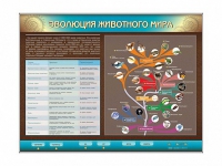 Интерактивный электрифицированный стенд "Эволюция животного мира" - «globural.ru» - Александров