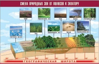 Таблица демонстрационная "Смена природных зон от полюсов к экватору" (винил 70x100) - «globural.ru» - Александров