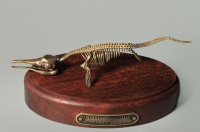 Модель скелета ихтиозавра Ichthyosaurus - «globural.ru» - Александров