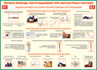  Таблица Общий порядок оказания первой помощи пострадавшим 1000*1400 винил	 - «globural.ru» - Александров