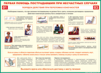 Таблица Порядок действий при переломах конечностей 1000*1400 винил - «globural.ru» - Александров