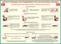 Таблица Порядок действий при ранениях и термических ожогах	 1000*1400 винил - «globural.ru» - Александров