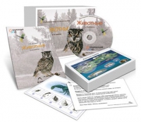 Комбинированное наглядное пособие «Животные» - «globural.ru» - Александров