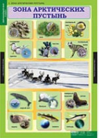 Окружающий мир 4 класс (комплект таблиц) - «globural.ru» - Александров