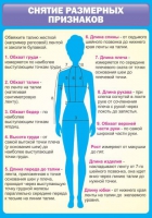 Стенд "Снятие мерок" (вариант 2) - «globural.ru» - Александров