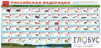 Стенд "Красная книга РФ" - «globural.ru» - Александров