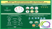 Стенд "Формы размножения организмов" - «globural.ru» - Александров