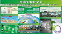 Стенд "Экология. Антропогенное воздействие на биосферу" - «globural.ru» - Александров