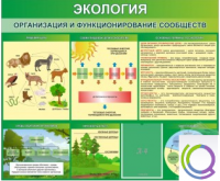 Стенд "Экология. Организация и функционирование сообществ" - «globural.ru» - Александров