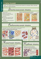 Биология 8-9 класс. Человек. (комплект таблиц) - «globural.ru» - Александров