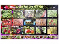 Комплект оборудования "Живой уголок" (растения) с тифлопереводом и сурдокомментариями - «globural.ru» - Александров