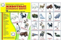 Демонстрационные карточки "Животные холодных широт" - «globural.ru» - Александров