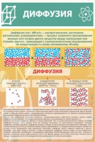 Стенд "Диффузия" - «globural.ru» - Александров