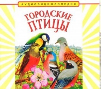 CD "Аудиоэнциклопедия. Городские птицы" - «globural.ru» - Александров