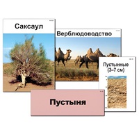 Модель-аппликация "Природные зоны России" - «globural.ru» - Александров