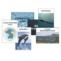 Модель-аппликация "Океаны. Знакомство" (ламинированная) - «globural.ru» - Александров