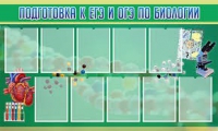 Стенд "Подготовка к ЕГЭ и ОГЭ по биологии" (вариант 2) - «globural.ru» - Александров