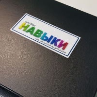 Навыки социальной адаптации. Развивающие пособие на липучках  - «globural.ru» - Александров