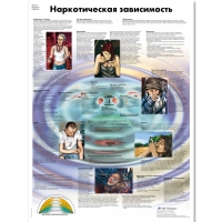 Плакат "Наркотическая зависимость", ламинированный, 50*67 см - «globural.ru» - Александров