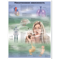 Плакат "Никотиновая зависимость", ламинированный, 50*67 см - «globural.ru» - Александров