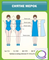 Стенд "Снятие мерок" (вариант 1) - «globural.ru» - Александров