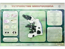 Электрифицированный стенд "Устройство микроскопа и правила работы c ним" - «globural.ru» - Александров