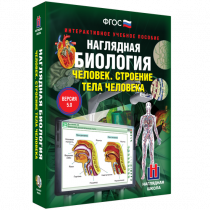 Наглядная биология. Человек. Строение тела человека - «globural.ru» - Александров