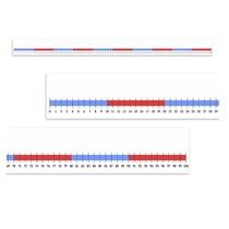 Нумирошка. Числовая прямая 0-100 по методике Нумикон - «globural.ru» - Александров