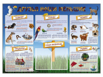 Стенд-уголок "Друзья наши меньшие" - «globural.ru» - Александров